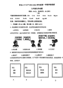山东省青岛市第三十九中学2023-2024学年九年级上学期12月份月考化学试卷