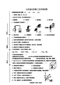 河南省周口市项城市第二初级中学2023-2024学年九年级上学期12月月考化学试题