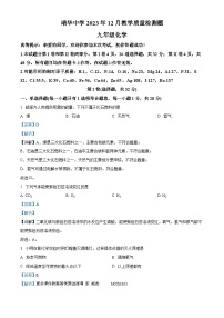 山东省青岛市胶州市瑞华实验初级中学2023-2024学年九年级上学期12月月考化学试题（解析版）