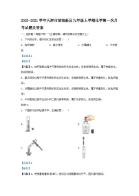 2020-2021学年天津市滨海新区九年级上学期化学第一次月考试题及答案