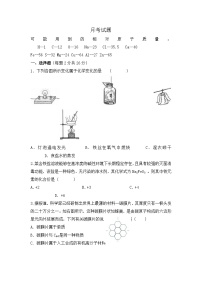 四川省眉山市东坡区实验初级中学2023-2024学年九年级上学期12月月考化学试题