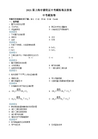 2021年上海市普陀区中考模拟化学试题（图片版）