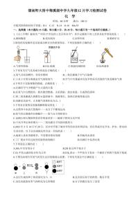 湖南省长沙市师大附中梅溪湖中学2023-2024学年九年级上学期第三次月考化学试题