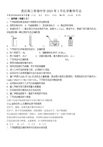 武汉三寄宿2022-2023学年度上学期元调模拟九年级化学试题