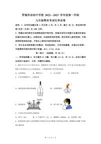 2022-2023深圳罗湖外语学校九年级（上）期末化学试卷