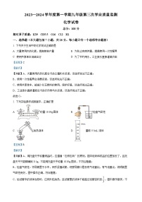 四川省资阳市安岳县李家初级中学2023-2024学年九年级上学期12月月考化学试题（解析版）