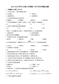 13，江苏省苏州地区2023-2024学年九年级上学期第二次月考模拟化学试题