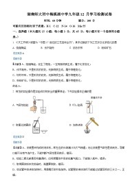 湖南省长沙市长沙县师大附中梅溪湖中学2023-2024学年九年级上学期第三次月考化学试题（解析版）