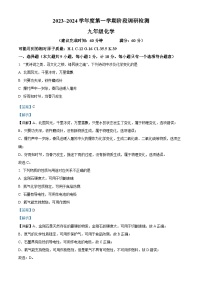 陕西省汉中市汉台区2023-2024学年九年级上学期期末化学试题（解析版）