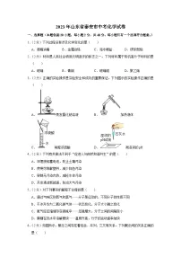 2023年山东省泰安市中考化学试卷