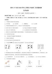 福建省漳州市第三中学2023-2024学年九年级上学期12月月考化学试卷