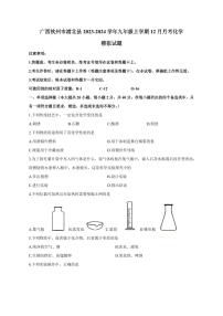 广西钦州市浦北县2023-2024学年九年级上册12月月考化学模拟试题（附答案）