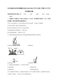 河北省秦皇岛市青龙满族自治县2023-2024学年九年级上册12月月考化学模拟试题（附答案）