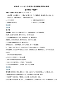 湖南省娄底市双峰县2023-2024学年九年级上学期期末质量检测化学试卷