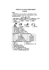 广东省深圳市龙岗区深圳中学龙岗学校（集团）兰著学校2021-2022学年九年级上学期期中化学测试卷