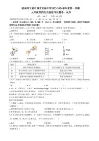 湖南省长沙市湖南师大附中博才实验中学2023-2024学年九年级上学期第四次自能练习化学试题