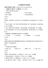 江苏省连云港市东海县培仁学校2023-2024学年九年级上学期第二次月考化学试题（解析版）