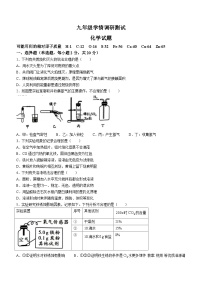 江苏省徐州市沛县2023-2024学年九年级上学期12月月考化学试题(无答案)