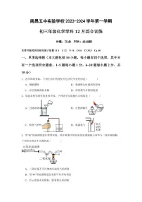 江西省南昌五中实验学校2023-2024学年九年级上学期化学12月月考卷