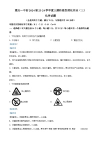 重庆市沙坪坝区第一中学2023-2024学年九年级上学期第三次月考化学试题（解析版）