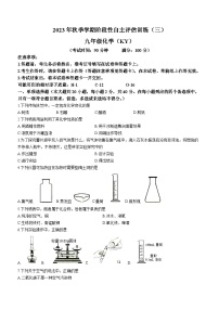 广西钦州市浦北县第三中学2023-2024学年九年级上学期12月月考化学试题