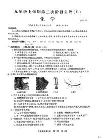 河南省安阳市林州市2023-2024学年九年级上学期12月月考化学试题