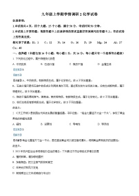 河南省郑州市金水区河南省实验中学2023-2024学年九年级上学期第二次月考化学试题（解析版）