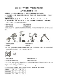 25，安徽省滁州市定远县天河初级中学2023-2024学年度九年级上学期化学第三次月考卷(无答案)