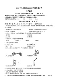 江苏省泰州市兴化市2023-2024学年九年级上学期12月月考化学试题(无答案)