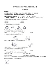 河南省洛阳市洛宁县2023-2024学年九年级上学期12月月考化学试题