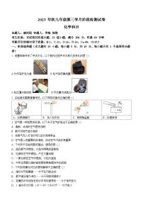 湖南省长沙市雅礼教育集团2023-2024学年九年级上学期第三次月考化学试题