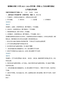 宁夏回族自治区吴忠市青铜峡市第六中学2023-2024学年九年级上学期12月月考化学试题