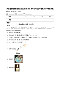 陕西省渭南市韩城市新城区2023-2024学年九年级上学期期末模拟化学试题