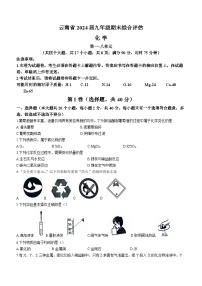 云南省昭通市巧家县大寨中学2023-2024学年九年级上学期1月月考化学试题