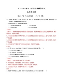 九年级化学期末模拟卷（长沙专用，人教版1-9单元）-2023-2024学年初中上学期期末模拟考试