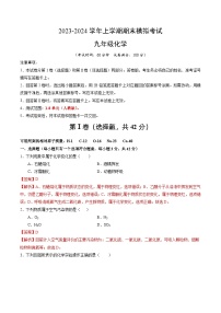 九年级化学期末模拟卷（海南专用，人教版1-8单元）-2023-2024学年初中上学期期末模拟考试