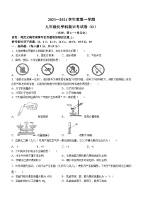 广东省汕头市潮南区陈店镇初中学校2023-2024学年九年级上学期12月期末 化学试题