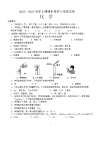 河南省周口市西华县2023-2024学年九年级上学期1月期末化学试题