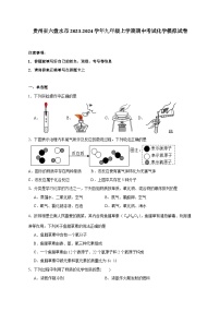 贵州省六盘水市2023-2024学年九年级上册期中考试化学模拟试卷（附答案）