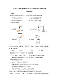 广东省茂名市部分学校2023-2024学年九年级上学期期末训练化学试题