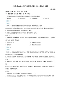 江苏省连云港市东海县实验中学2023—2024学年九年级上学期第二次阶段性测试化学试题