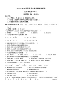 河南省漯河市临颍县2023-2024学年九年级上学期期末测试化学试题