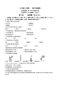 云南省腾冲市实验学校2023-2024学年九年级上学期化学期中检测卷(无答案)