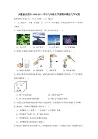 安徽省合肥市2023-2024学年九年级上学期期末模拟化学试卷（含答案）
