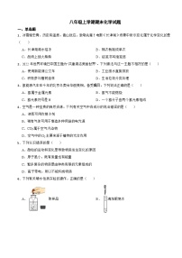 山东省青岛市莱西市2023年八年级上学期期末化学试题附答案