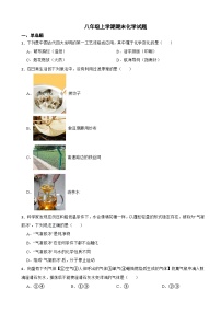 山东省烟台市牟平区2023年八年级上学期期末化学试题附答案