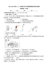 福建省莆田市荔城区黄石镇沙堤初级中学2023-2024学年九年级上学期第四次月考化学试题