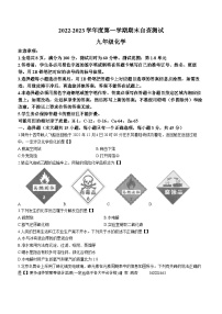 广东省东莞市2022-2023学年九年级上学期期末考试化学试卷