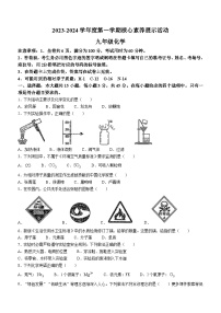 广东省韶关市翁源县2023-2024学年九年级上学期12月月考化学试题