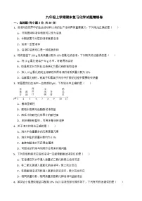 (五四制鲁教版）2023九年级上学期期末复习化学试题精编卷附答案